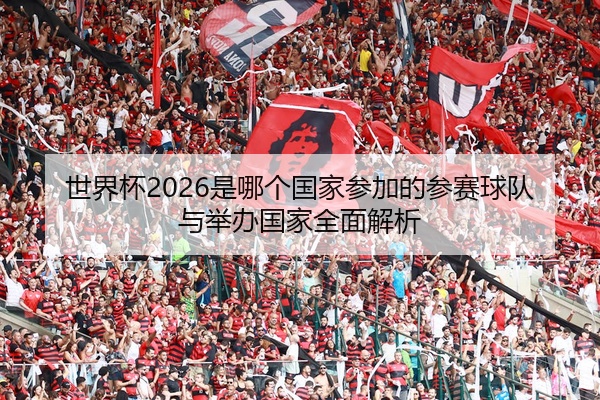 世界杯2026是哪个国家参加的参赛球队与举办国家全面解析