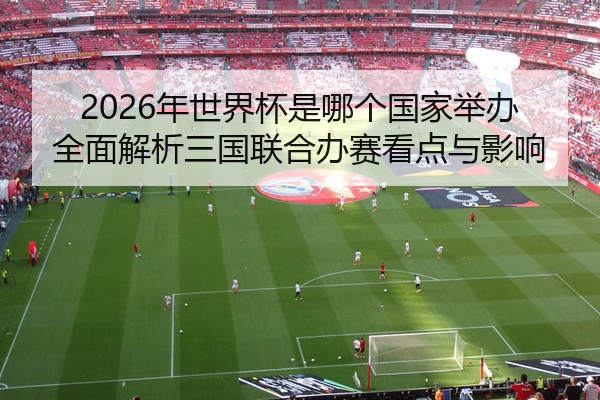 2026年世界杯是哪个国家举办全面解析三国联合办赛看点与影响