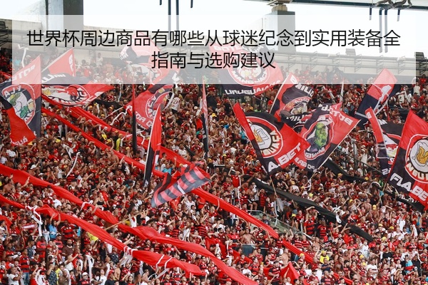 世界杯周边商品有哪些从球迷纪念到实用装备全指南与选购建议