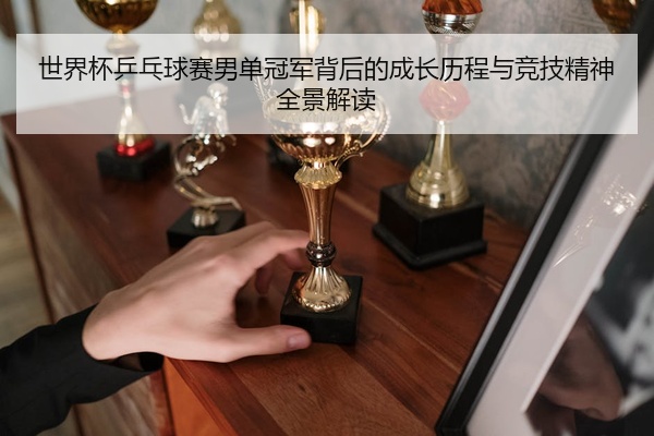 世界杯乒乓球赛男单冠军背后的成长历程与竞技精神全景解读
