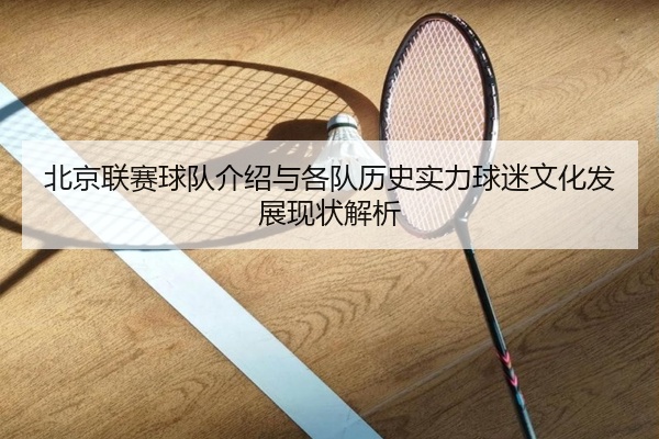 北京联赛球队介绍与各队历史实力球迷文化发展现状解析